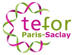 Logo Tefor Paris-Saclay