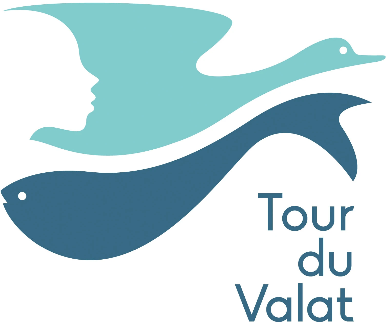 Logo Tour du Valat
